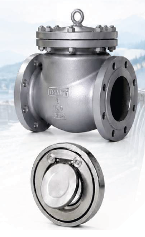 Check Valve